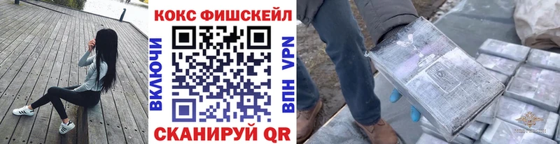 магазин продажи   Каргополь  Cocaine Fish Scale 