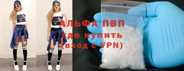 спиды Верея