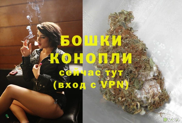 спиды Верея