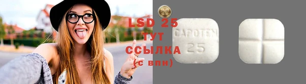 спиды Верея